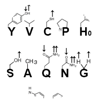 hydrophobicity_cutout